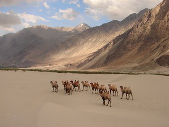 Nubra